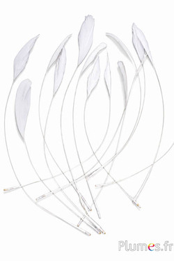 Coquetips - 13-18 cm - blanc